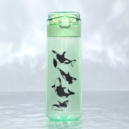 Water bottle "Runks", 520 ml-2