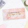 Money envelope "Little contribution to the big dream" 16x8 cm
