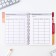 A journal of performance for a year for a teacher, A5 format, 80 sheets, soft cover "Class teacher"