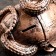 Piggy bank "Snake with a barrel" Small copper, 14x19x12cm