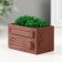 Kashpo concrete mini "Retro radio" with moss light brown 8x4x4.5cm (moss green stabil.)