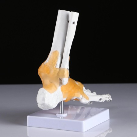 Matcage "Guplno -Star Joint" 21*20cm-2
