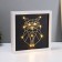 Light picture “Owl” LED USB from 3haa batteries 24.5x24.5x3.5 cm Risalux