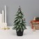 Christmas tree decor "snowy with droplets, in a pot" 28x7.5 cm