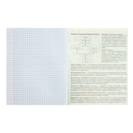 Subject note Calligrata Top "magazine", 48 sheets in a cell biology, with reference material, cardboard cover, glossy lamination, offset unit-3