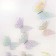 Set for decorating "Butterflies", 12 pieces, holography, silver color