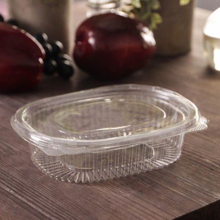 The plastic disposable container with an insoluble lid pr-rks-350, 350 ml, 15.9 × 13 × 4 cm, the color is transparent