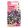 Petunia flowers "Shock Vave Purple Tai Dai", 5 pcs
