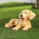 Garden figure "Dog lies" beige, 16x25x20cm