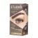 Studio Professional Volume UP eyebrow staining kit with tattoo effect, dark brown tone
