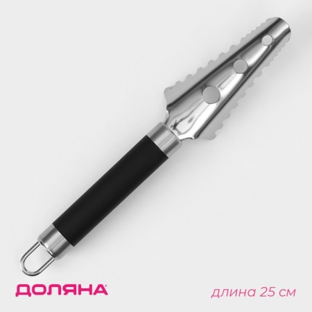 Fisherman Venus shares, stainless steel, black color