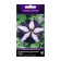 Flowers of Petunia Flowers Large -flowered tango blue with a white star, 15pcs