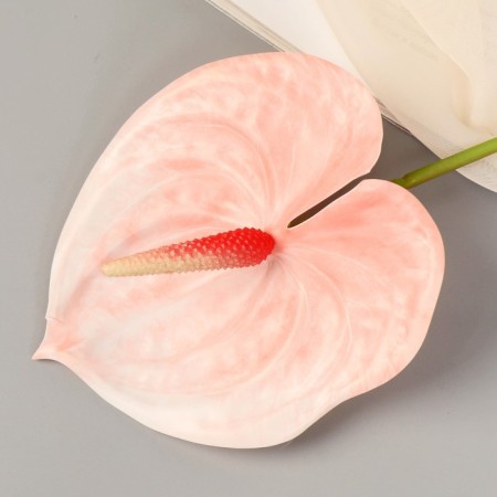 Artificial flowers "Anturium" 60 cm, light pink-1