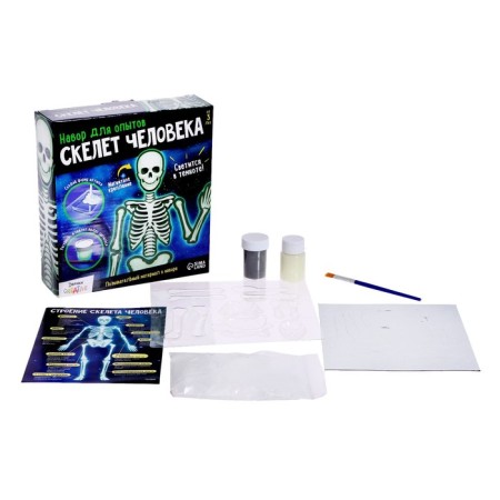Set for experiments "Human Skeleton"-1