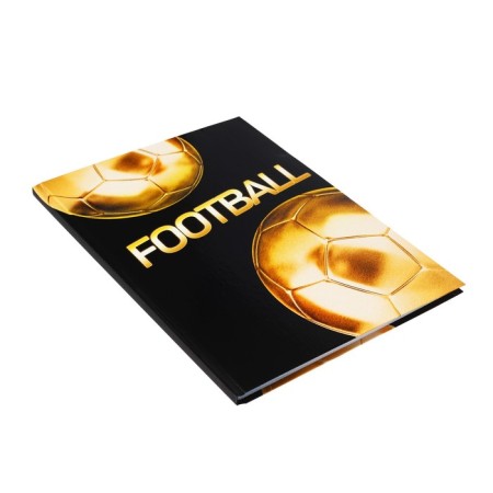 College-wiper in a solid cover 7BC, A4, 80 sheets, golden ball, a cage block, glossy lamination-1