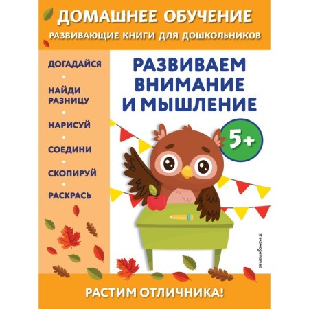 We develop attention and thinking: for children from 5 years. Dincch B.