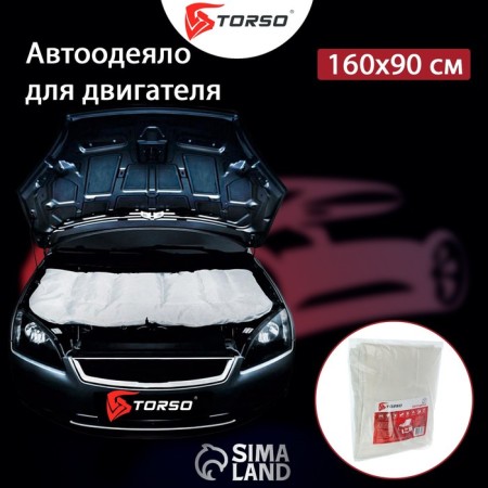 Authorized for the Torso engine, 160 x 90 cm-1