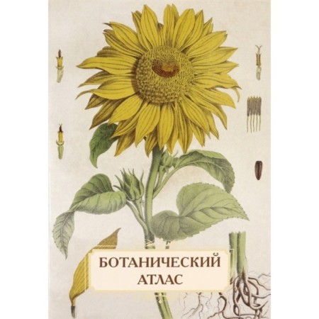 Botanical Atlas. Panteleeva A.