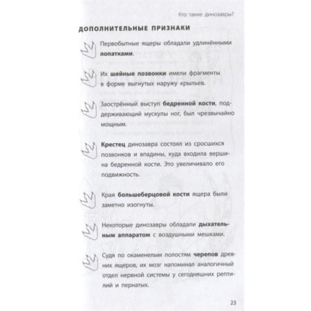 «Стегозавр», Бен Гэррод-6