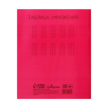 Notebook 12 sheets in the Calligrata "red" cage, plastic cover, with a multiplication table, an offset unit-5