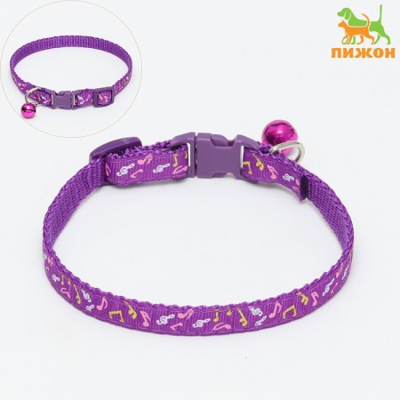 Two -layer collar with Fasteks "Music", 30 x 1 cm, purple