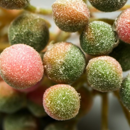 Decor for creativity "Berries" 1 bouquet = 6 branches lilac-green 10 cm-3