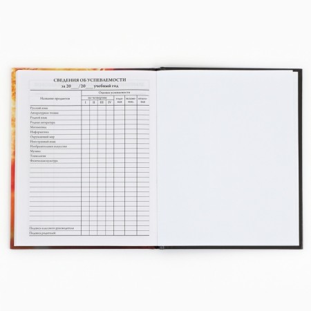 School Diary 1-4 class, in a solid cover, 48 liters "September 1: football"-7