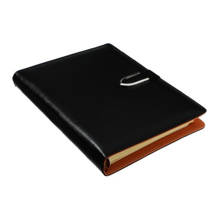 Organizer on the rings A5, 90 sheets in the ruler, with a stream, mix-1
