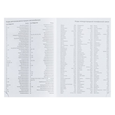 Leduced A5 Diary, 160 sheets, Devente.Gold Rush, firm artificial leather cover with foam rubber, silver slice, Bullpan of 70 g/m2, silver-7