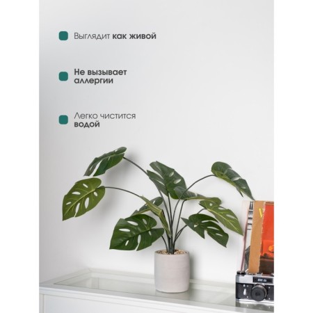 Decorative plant in a ceramic pot of Monster, 12 × 12 × 70 cm-4