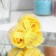 Soap roses, yellow, set of 3 pcs.