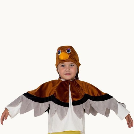 Carnival costume "Sparrow", hat, cape, 5-7 years old, height 122-134 cm