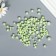 Decor for creativity plastic "Balls. Bright Greens" d = 1.5-8 mm, set 10 grams