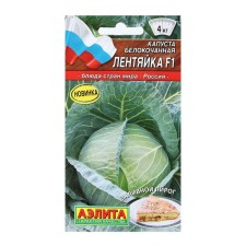 Cabbage Cabbage seeds 