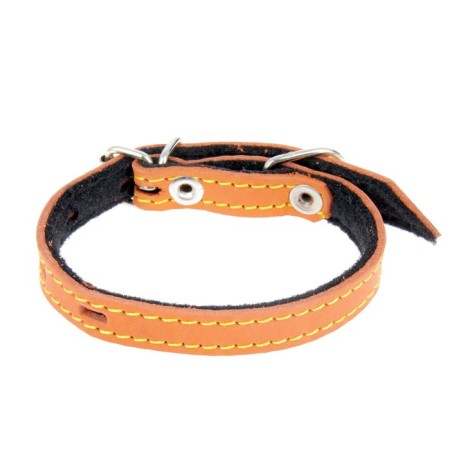 A set of colored leather for puppies Zononic, a collar 35 cm, leash 130 x 1.5 cm, mix-1