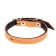 A set of colored leather for puppies Zononic, a collar 35 cm, leash 130 x 1.5 cm, mix