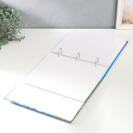 Photo album for 500 photos 10x15 cm, plastic. Sheets, rings "Deep Blue" whale. Fields-2