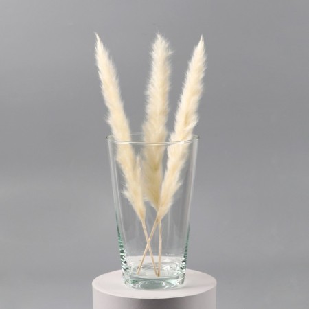 VAZA "Concular" average 19x12x8cm, 1.2l transparent-1