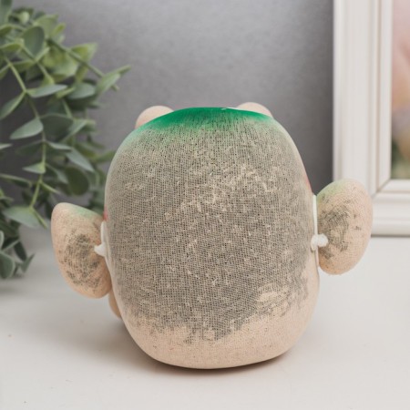 Growing grass Eco -Lyn "lucky" Gift packaging mix-3