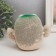 Growing grass Eco -Lyn "lucky" Gift packaging mix