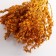Set of dried flowers "chandra", banch length 40 (+/- 6 cm), mustard