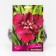 Iris Japanese "Vine Raffles", 1 pc, rr I, spring 2025