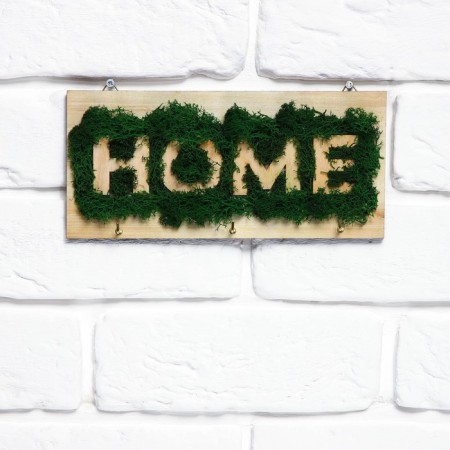 The keyrean is wall -mounted with moss "Home".-2