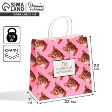 Gift package, packaging, Kisa, 22 x 22 x 11 cm