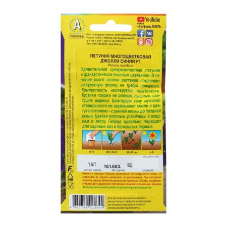 Petunia Jolly Blue F1 multi -flowered, 7 pcs-1
