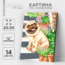 Picture on numbers on a canvas with a subframe 