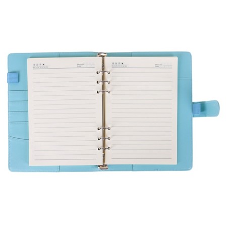 Organizer on the rings A5, 90 sheets in the ruler, with a stream, mix-5
