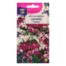 Lobelia flowers 