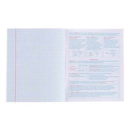 The subject “domino”, 48 sheets in the cage, “computer science”, plastic cover, offset block-5