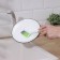 Brush for dishes of the share Green Day, flat, 26 cm